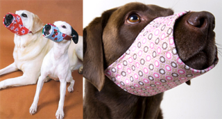 Illustration for article titled If You Have a Dog, You Can't Miss This Gadget Guide for the Spring